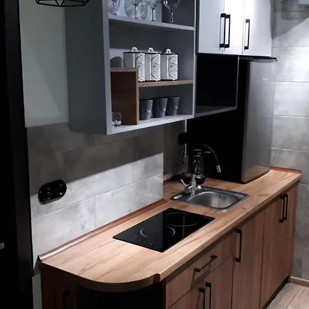 Loft з балконом в центрі львова Apartment