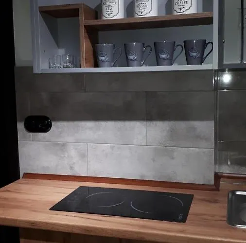 Loft з балконом в центрі львова Apartamento *