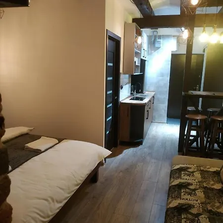 Loft з балконом в центрі львова Appartement Lviv